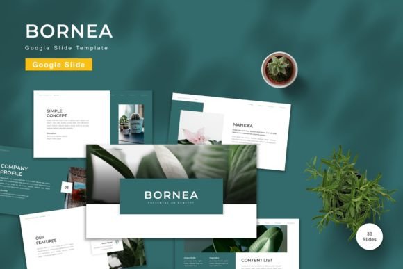 Bornea - Google Slide Template: A Practical Workflow for Professional Presentations